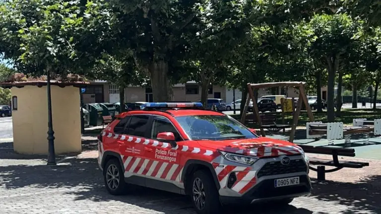 Polic&iacute;a Foral en el lugar del accidente. CEDIDA