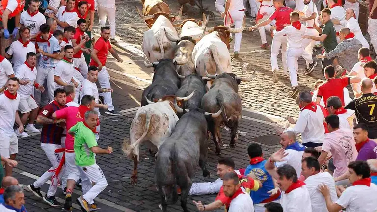 Los toros de la ganader&iacute;a de Jos&eacute; Escolar Gil a su paso por la Plaza Consistorial entrada a Mercaderes durante el quinto encierro de los Sanfermines 2026 con este s&aacute;bado en Pamplona. EFE/Villar L&oacute;pez