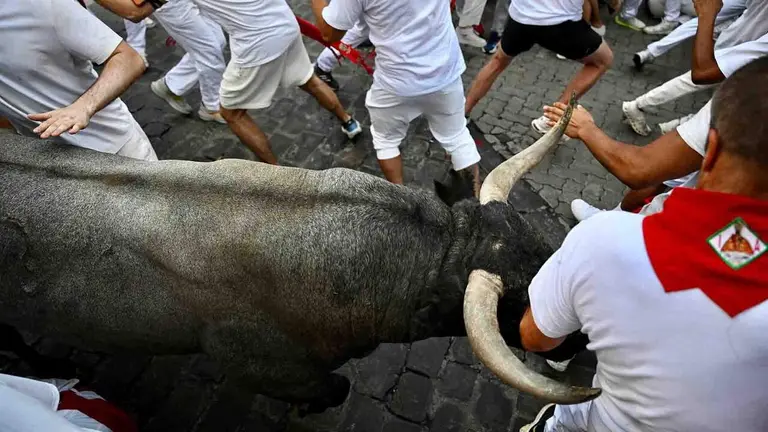 Quinto encierro de San Ferm&iacute;n 2026 con toros de Jos&eacute; Escolar. PABLO LASAOSA