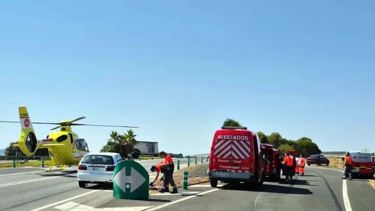 El helic&oacute;ptero de emergencias en la autov&iacute;a. GOBIERNO DE NAVARRA