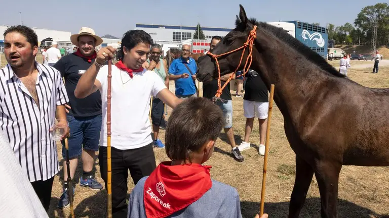 Feria del ganado equino de San Ferm&iacute;n. AYUNTAMIENTO DE PAMPLONA