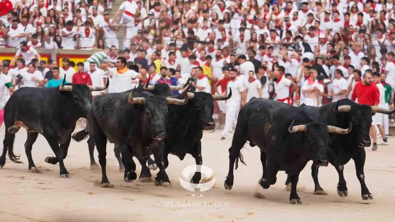S&eacute;ptimo encierro de San Ferm&iacute;n 2026 con toros de la ganader&iacute;a de Miura en la plaza de toros. CASA DE MISERICORDIA