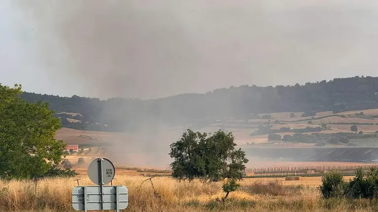 Vista del incendio en Abaigar. NAVARRA.COM