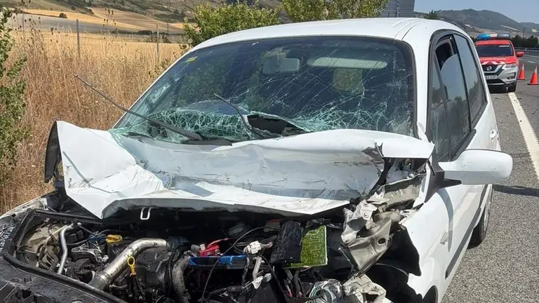 Accidente en Monreal. POLIC&Iacute;A FORAL