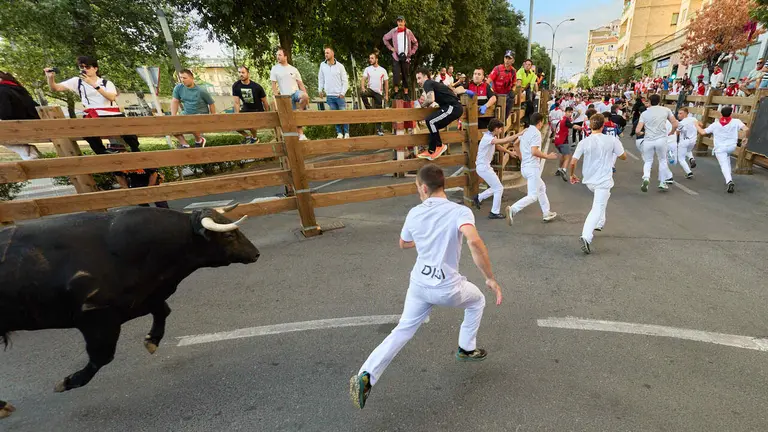 Tercer encierro de las Fiestas de Tudela 2026. I&Ntilde;IGO ALZUGARAY
