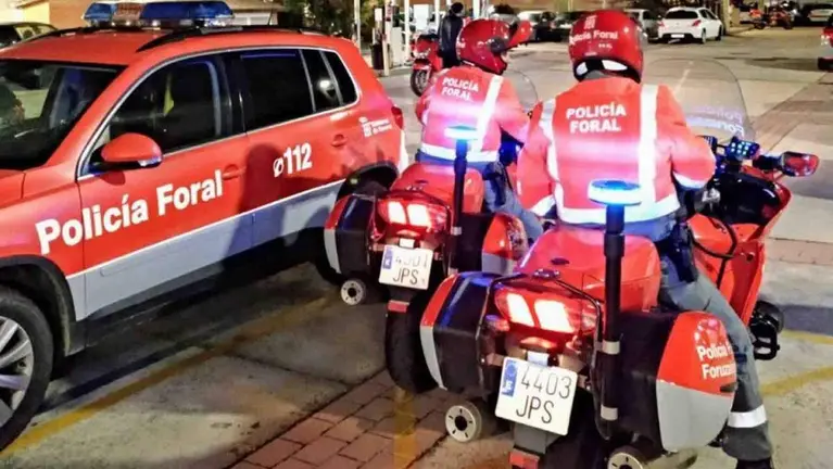 Agentes de la Polic&iacute;a Foral durante una intervenci&oacute;n.