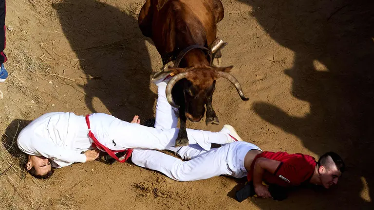 Sexto encierro del Pil&oacute;n de Falces 2026. I&Ntilde;IGO ALZUGARAY