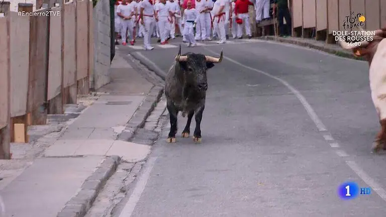 El toro de José Escolar se vuelve en Santo Domingo