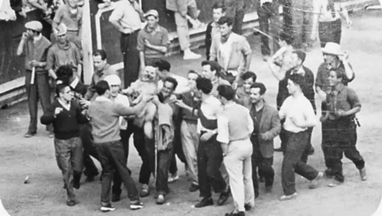 El perro Ortega dando la vuelta al ruedo tras conseguir meter al miura en los toriles el 12 de julio de 1958 BLOG PATXI MENDIBURU