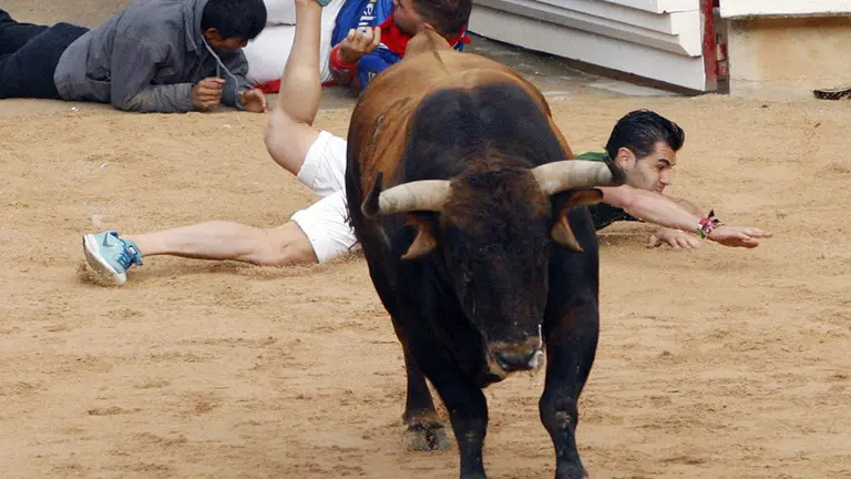 Reses de la ganadería gaditana de Cebada Gago hacen su entrada en la Plaza de Toros de Pamplona durante el segundo encierro de los Sanfermines 2019. EFE/Manuel Castells