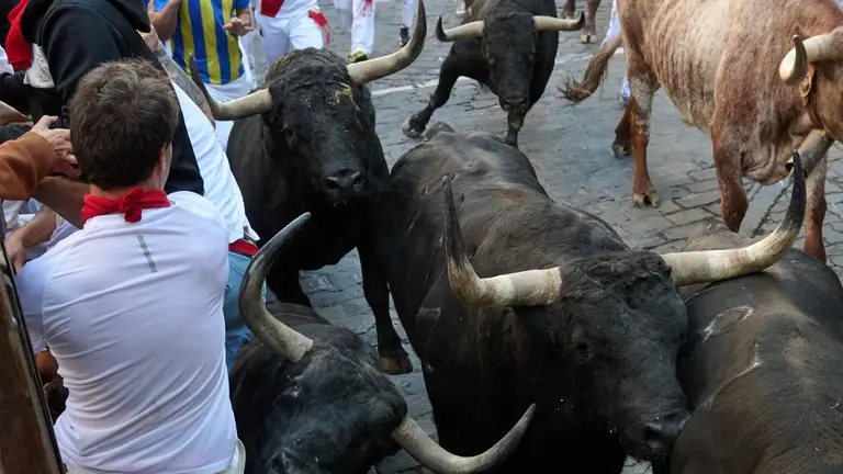 Los toros de la ganadería gaditana de Fuente Ymbro pasan por el tramo de Telefónica antes de su llegada al callejón durante el segundo encierro de los Sanfermines 2022. EFEDaniel Fernández