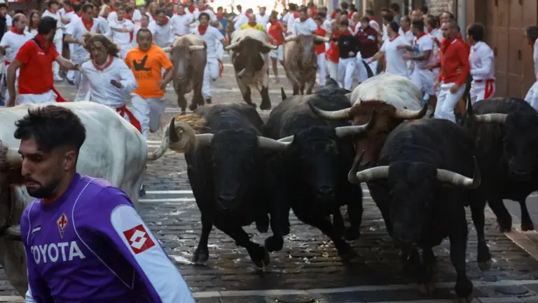 Los toros de Fuente Ymbro en la curva de Mercaderes. REUTERS. Juan Medina