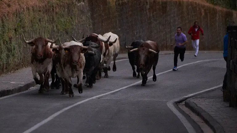 Encierrillo de los toros de José Escolar durante la tarde noche del 8 de julio en las fiestas de San Fermín 2022. PABLO LASAOSA