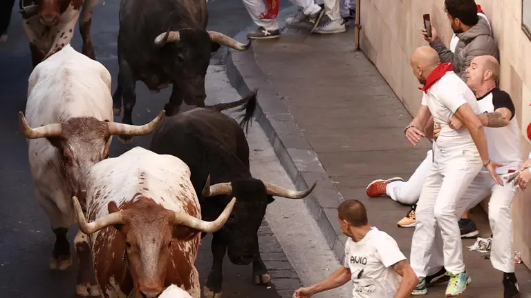Los mozos corren ante los toros de la ganadería de José Escolar en el tramo de Santo Domingo del tercer del encierro de SanFermín, este sábado. EFE. Jesus Diges
