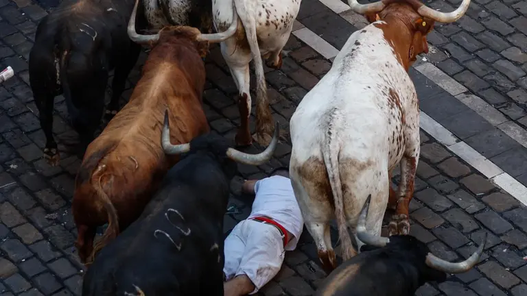 Los mozos, durante el cuarto encierro de los Sanfermines con toros de la ganadería La Palmosilla este domingo en Pamplona. EFE Rodrigo Jimenez (2)