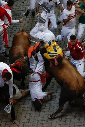 Los toros de la ganadería gaditana de Cebada Gago durante el quinto encierro de los Sanfermines. EFE Jesús Diges (4)