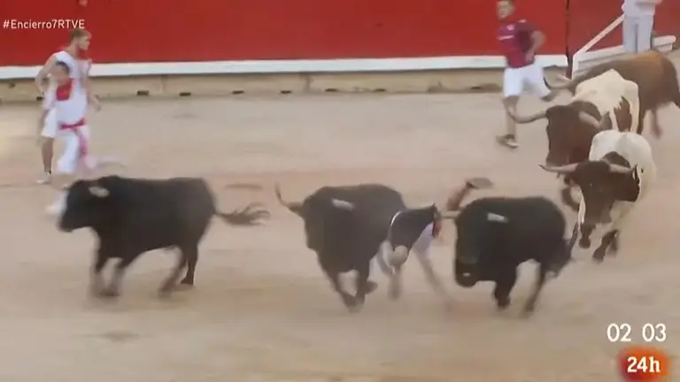 Momento de la cogida a un mozo en la plaza de toros por un toro de Victoriano del Río en el séptimo encierro de San Fermín 2022. RTVE