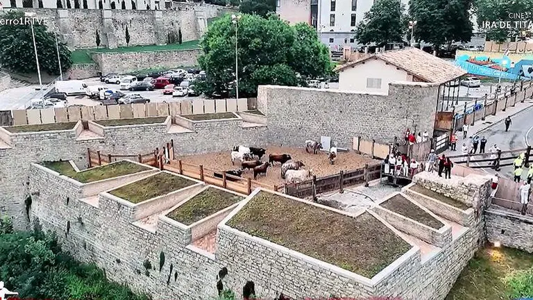 Los toros de La Palmosilla aguardan en el corral de Santo Domingo minutos antes del comienzo del primer encierro de San Fermín 2023. RTVE