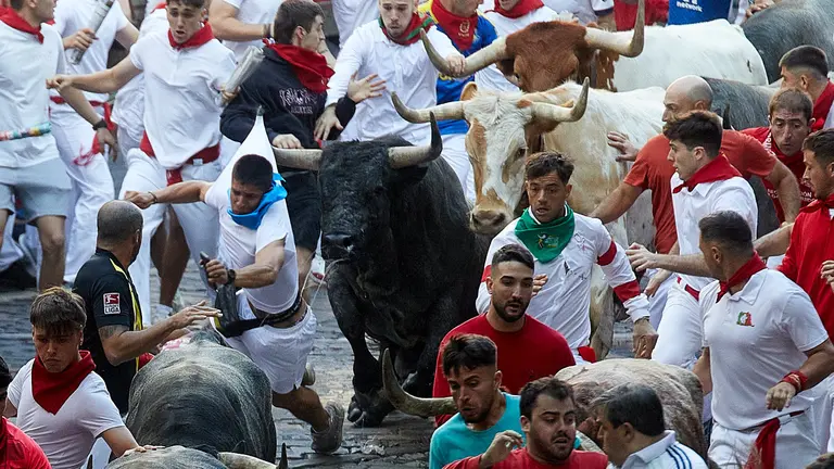 Segundo encierro de San Fermín 2023 con toros de José Escolar en el tramo de Telefónica y entrada al callejón de la Plaza de Toros de Pamplona. IÑIGO ALZUGARAY