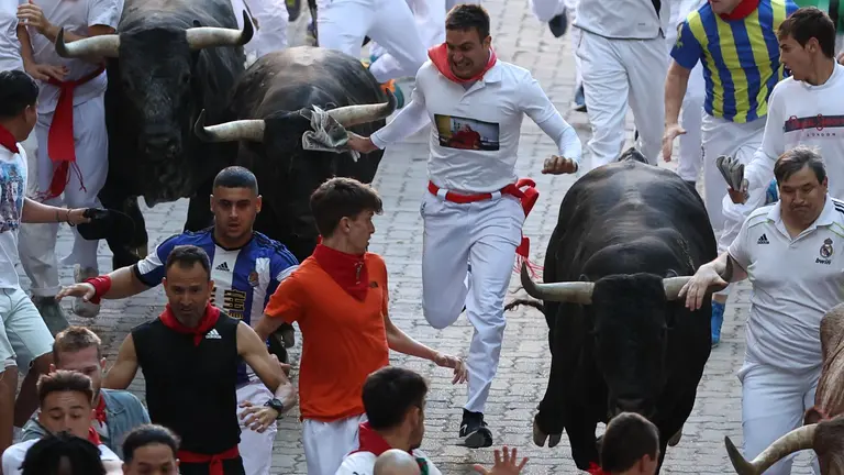 Los legendarios toros de la ganadería Eduardo Miura en el tramo final que desemboca en el callejón de la Plaza de Toros de Pamplona este viernes, durante el octavo y último encierro de sanfermines. J.P. Urdiroz/EFE