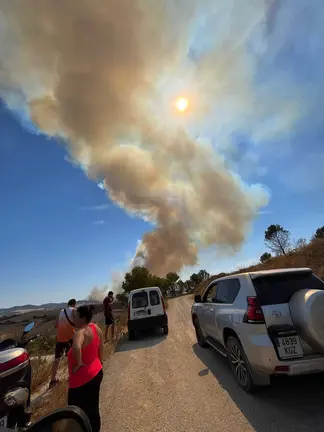 Imagen de la columna de humo que ha generado el incendio en el Perdón. CEDIDA