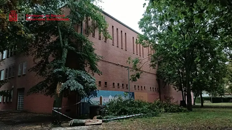 Los bomberos retiran en Estella una rama que se había caído por el temporal. BOMBEROS DE NAVARRA