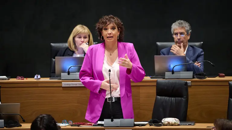 Ainhoa Unzu, del PSN, interviene en la sesión plenaria. PABLO LASAOSA