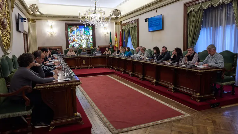 Pleno del Ayuntamiento de Pamplona. IÑIGO ALZUGARAY