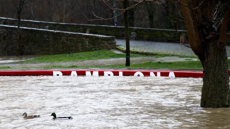 La crecida río Arga a su paso por Pamplona ha afectado a los parques y paseos próximos al río. IÑIGO ALZUGARAY