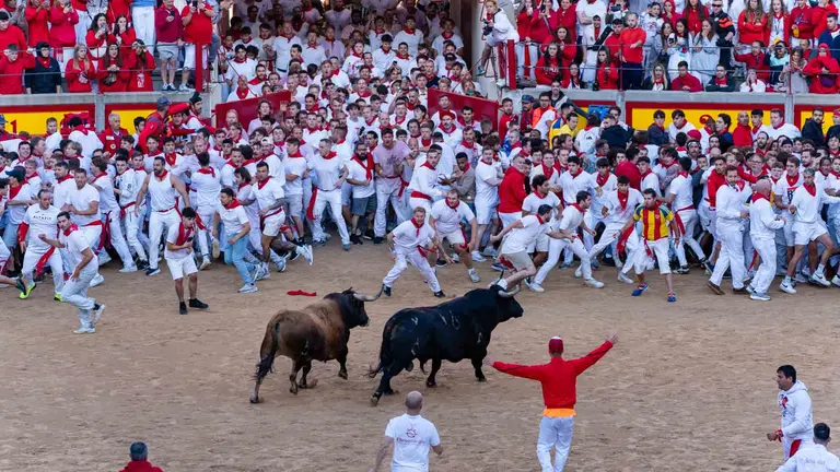 Primer encierro de San Fermín 2024 con toros de la ganadería de la Palmosilla en la Plaza de Toros de Pamplona. FERMÍN GUTIÉRREZ