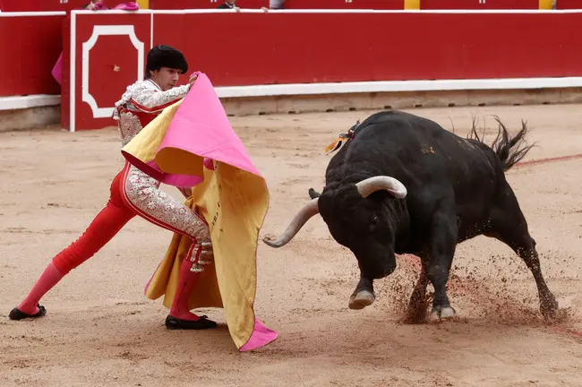 El diestro Sebastián Castella recibe con el capote a su primer toro de la tarde en la quinta de abono de la Feria de Toro de los Sanfermines 2024 donde comparte cartel con Emilio de Justo y Ginés Marín. EFEJesús Diges