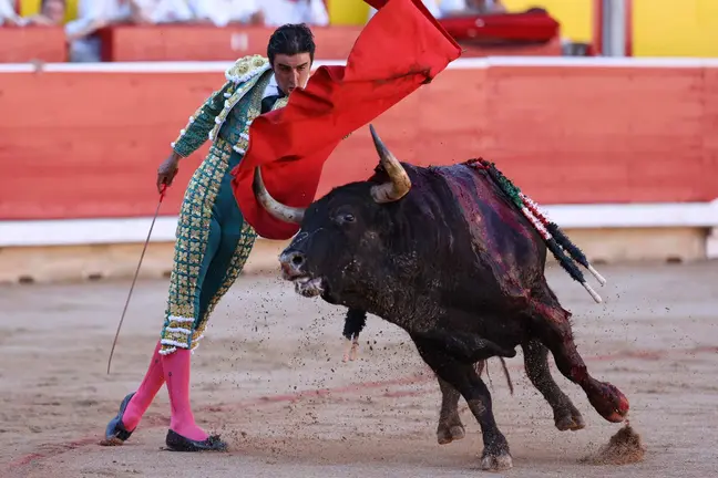 El diestro Miguel Angel Perera. EFE Juan Pedro Urdiroz