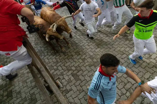 Quinto encierro de San Fermín 2024 con toros de Domingo Hernández en callejón. MAITE H. MATEO