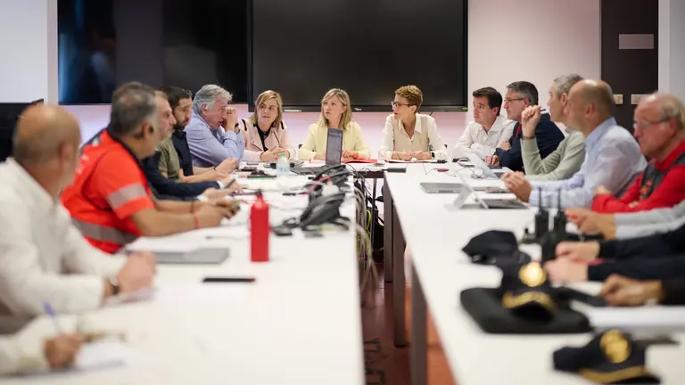 Imagen del Gabinete de Crisis del Gobierno de Navarra. GOBIERNO DE NAVARRA