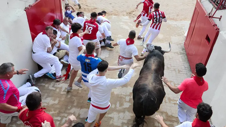 Toros de la ganadería de Jandilla en el encierro de Sanfermín 2025. IÑIGO ALZUGARAY
