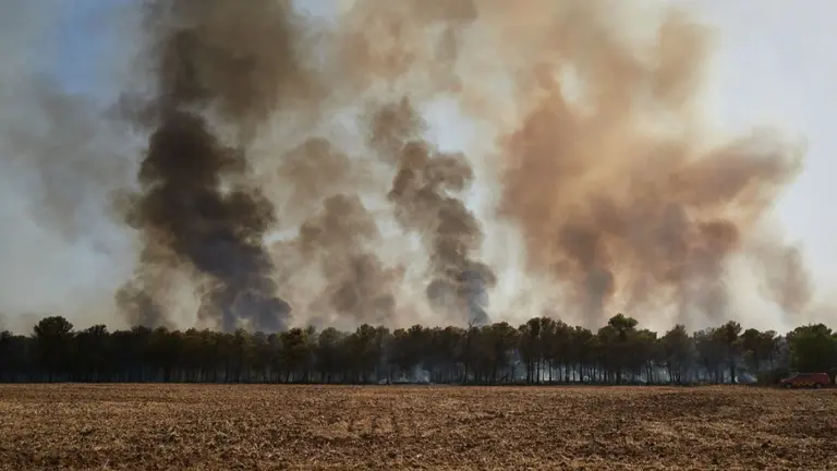 Imagen del incendio de Carcastillo.
- EDUARDO SANZ - EUROPA PRESS