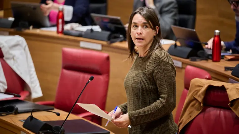 Begoña Alfaro, consejera de Vivienda, durante el Pleno del Parlamento de Navarra. PABLO LASAOSA