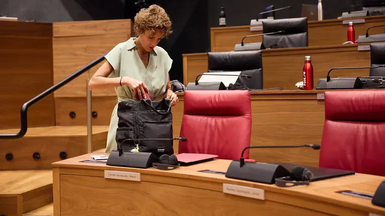 Pleno del Parlamento de Navarra. NAVARRA.COM