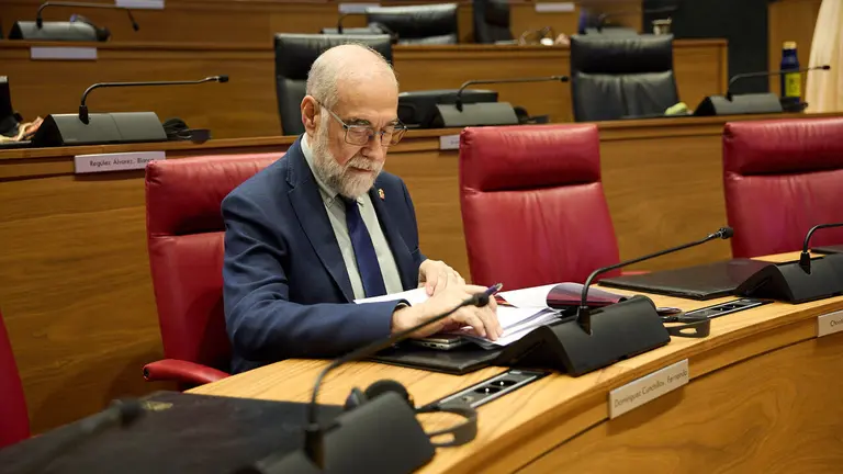 Pleno del Parlamento de Navarra. NAVARRA.COM