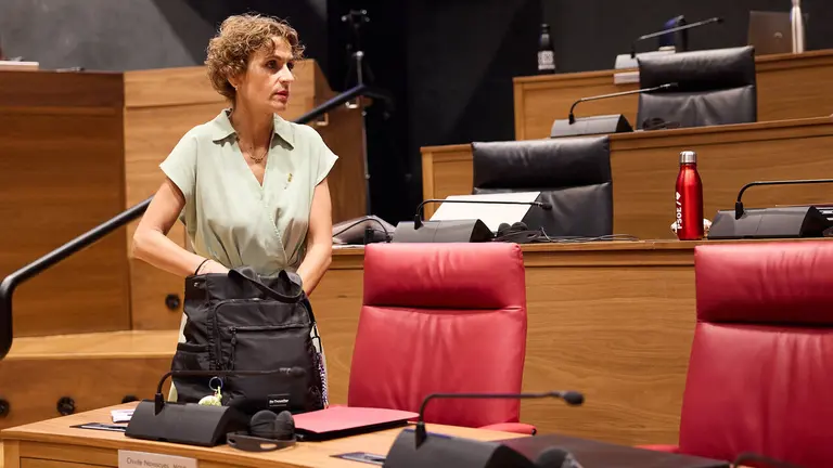 xPleno del Parlamento de Navarra. NAVARRA.COM