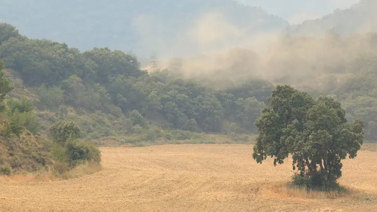 Imagen del incendio forestal en Orés (Zaragoza). EFE