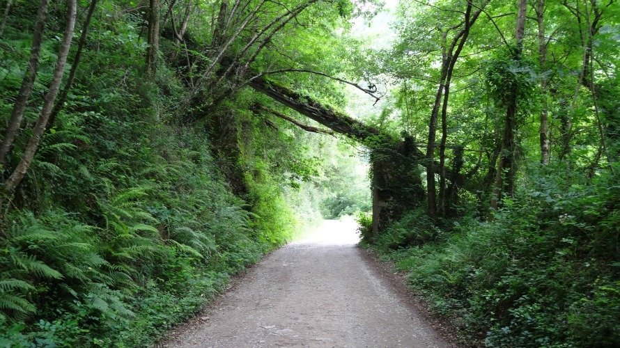 Una vía verde en Navarra. ARCHIVO