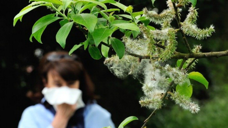 Una mujer sufre alergía al polen durante la primavera. EFE.