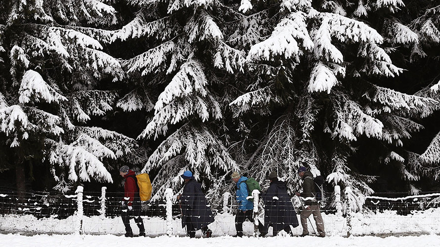 Un grupo de peregrinos camina por un monte cercano a la localidad navarra de Espinal en una jornada donde el descenso de la cota de nieve hasta los 700 metros ha sido la nota meteorológica del día. La cota sube hasta los 900 metros a lo largo del día, así como las temperaturas. EFE/Jesús Diges