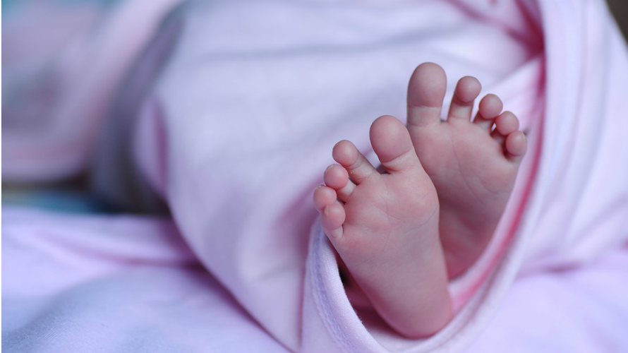 Los nacimientos en Navarra bajan un 3,1% respecto a 2014