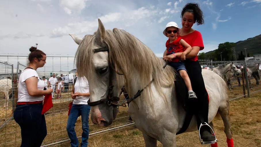 Feria de Ganado de San Fermín - Jorge Nagore (16)