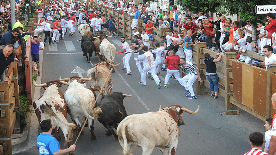 Ultimo encierro de las fiestas de Tudela, con los toros de Rosa Rodríguez. MIGUEL OSES (9)