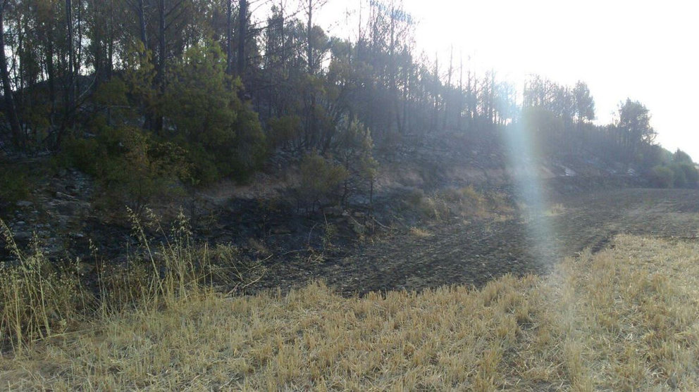 Una de las zonas calcinadas tras el incendio forestal en Javier Imagen Twitter de la Asociación Navarra de Guardas Forestales