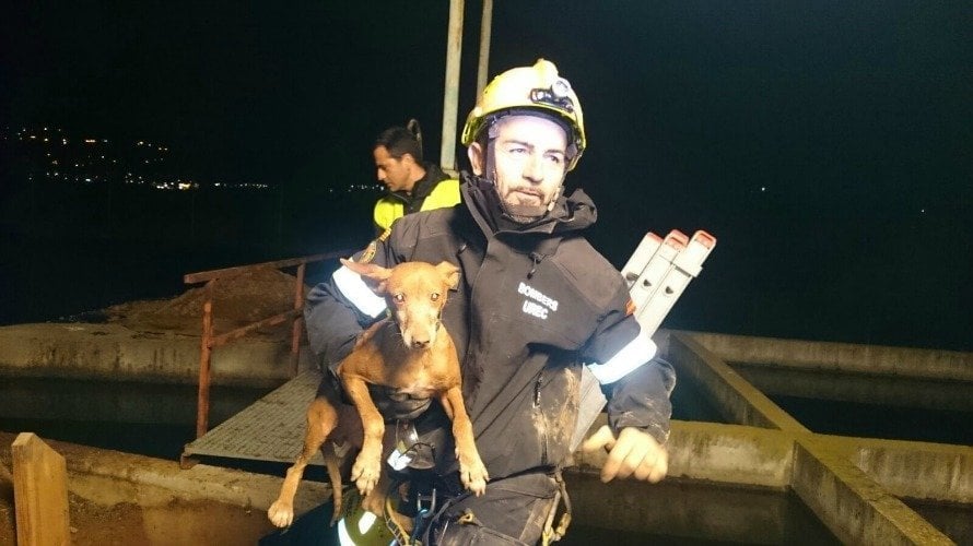 Un rescate de 12 horas salvan a un perro que se había quedado atrapado en una tubería de 3 metros de profundidad.