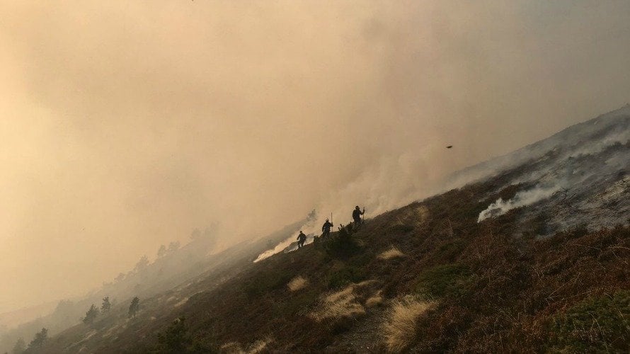 Efectivos de los bomberos realizando labores de extinción a mano en el monte Lakora.  BOMBEROS DE NAVARRA